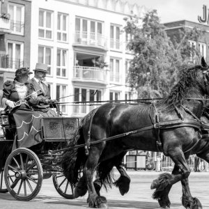 Baptiste-concours equestre à Leeuwarden -04 août 2018-0024